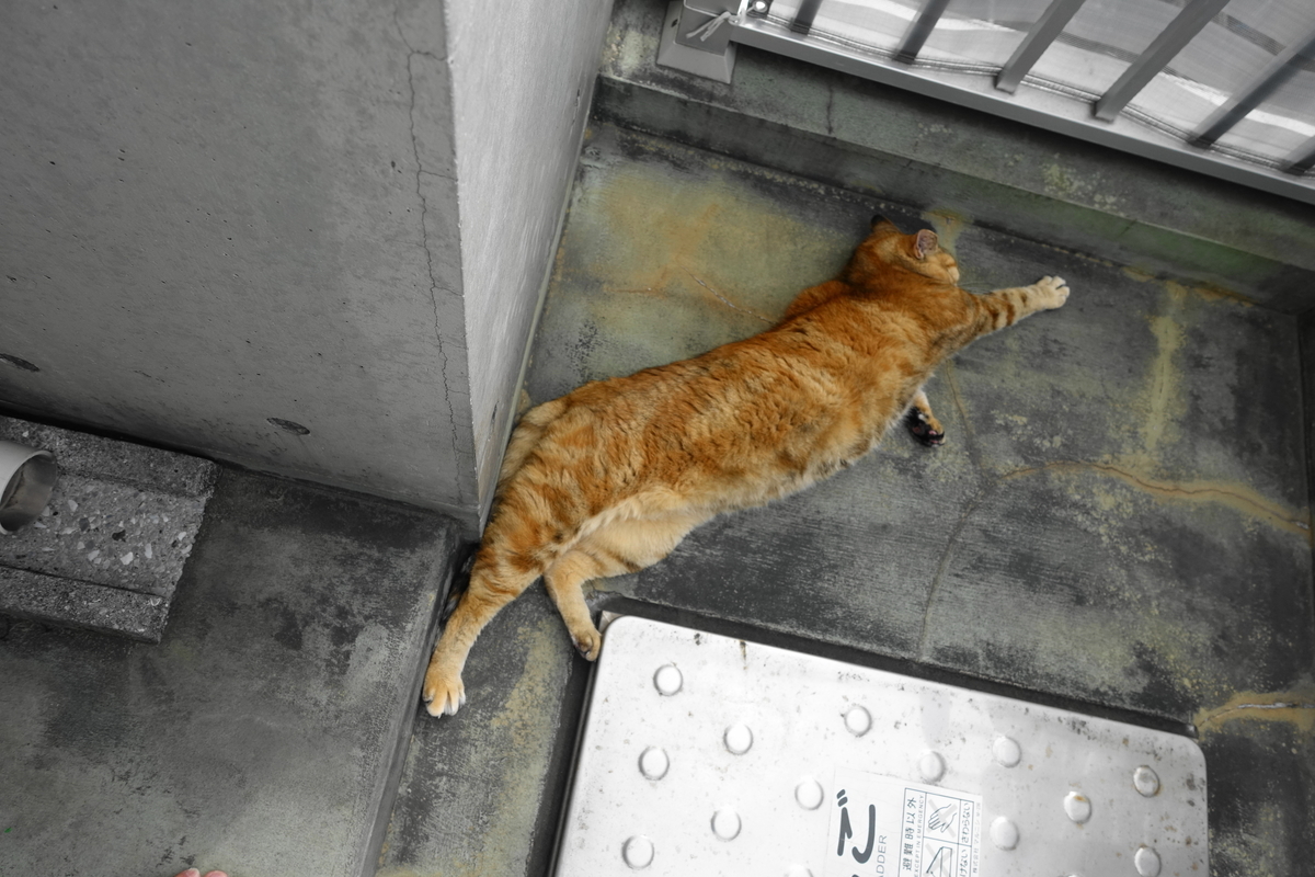 f:id:shigeo-t:20210324100306j:plain