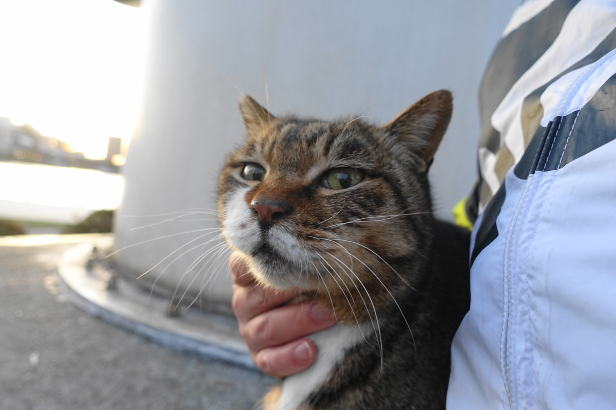 f:id:shigeo-t:20210326100324j:plain