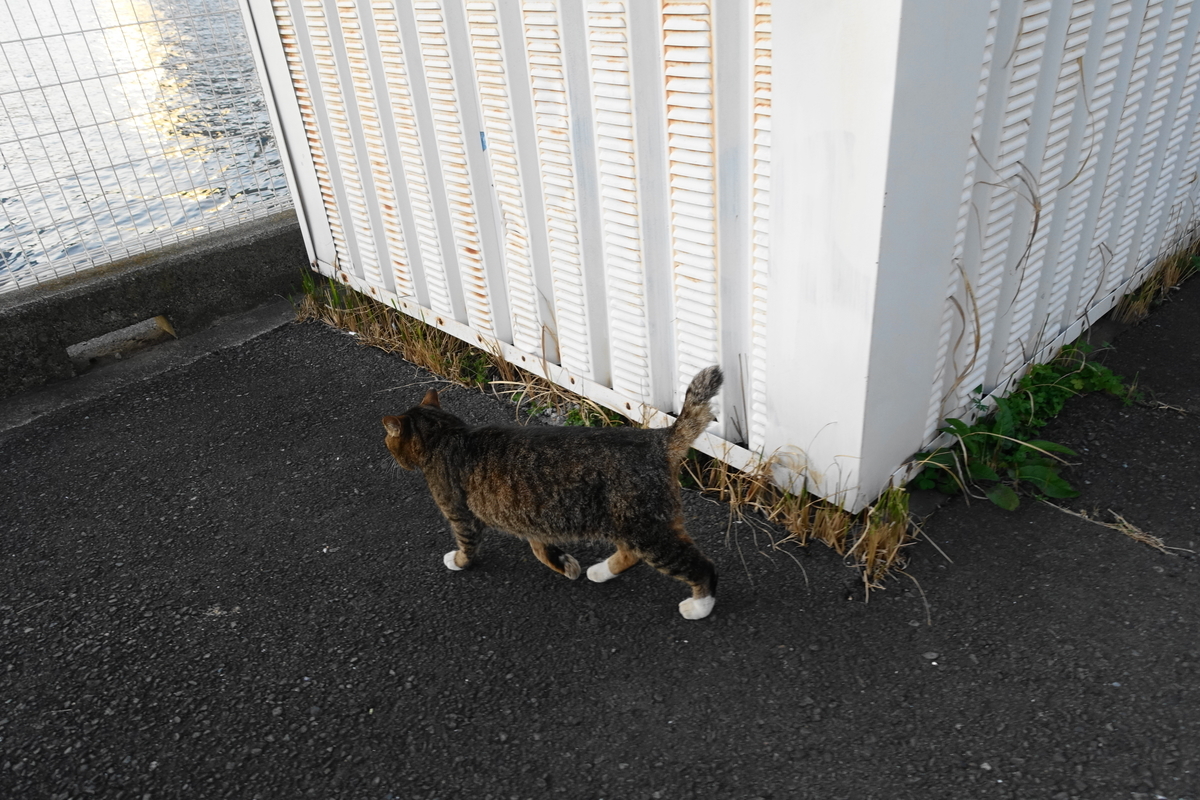 f:id:shigeo-t:20210326103138j:plain