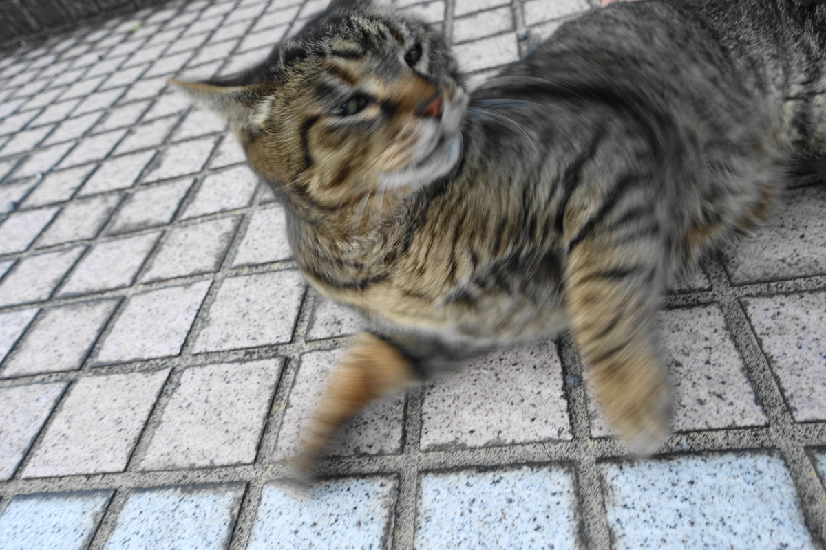 f:id:shigeo-t:20210328100327j:plain