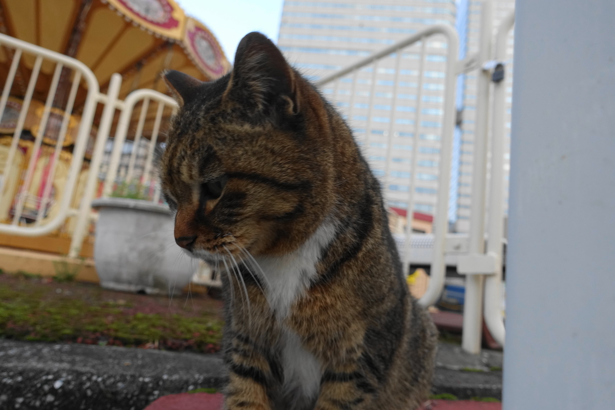 f:id:shigeo-t:20210328100411j:plain