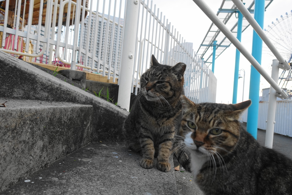 f:id:shigeo-t:20210328100557j:plain