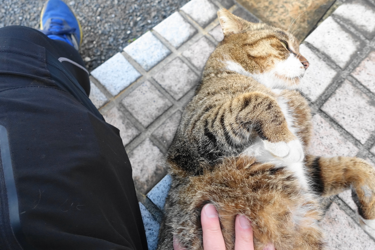 f:id:shigeo-t:20210330100535j:plain