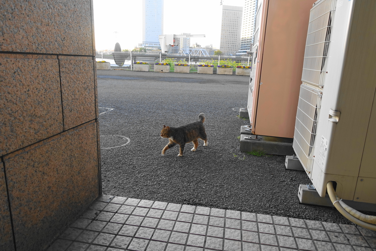 f:id:shigeo-t:20210330104359j:plain