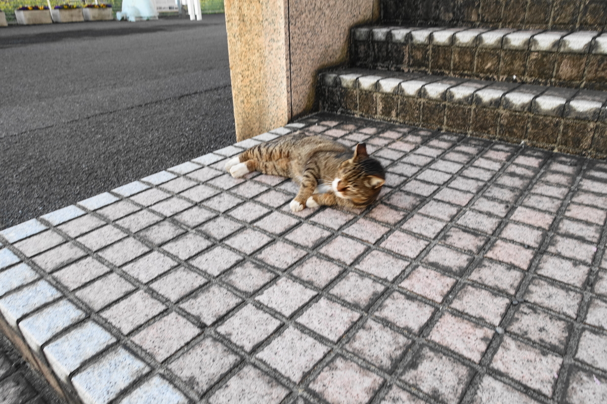 f:id:shigeo-t:20210330104445j:plain