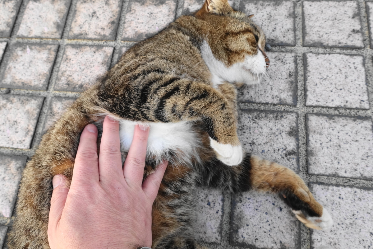 f:id:shigeo-t:20210331102712j:plain