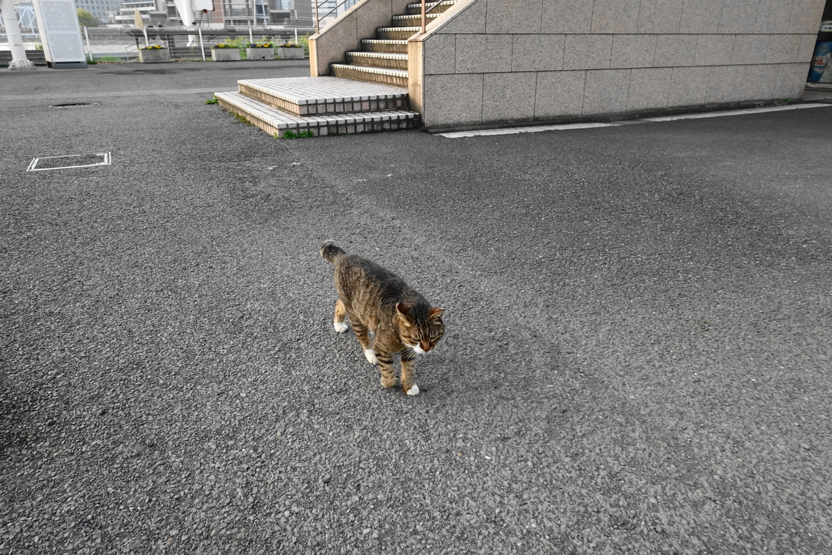 f:id:shigeo-t:20210331102755j:plain