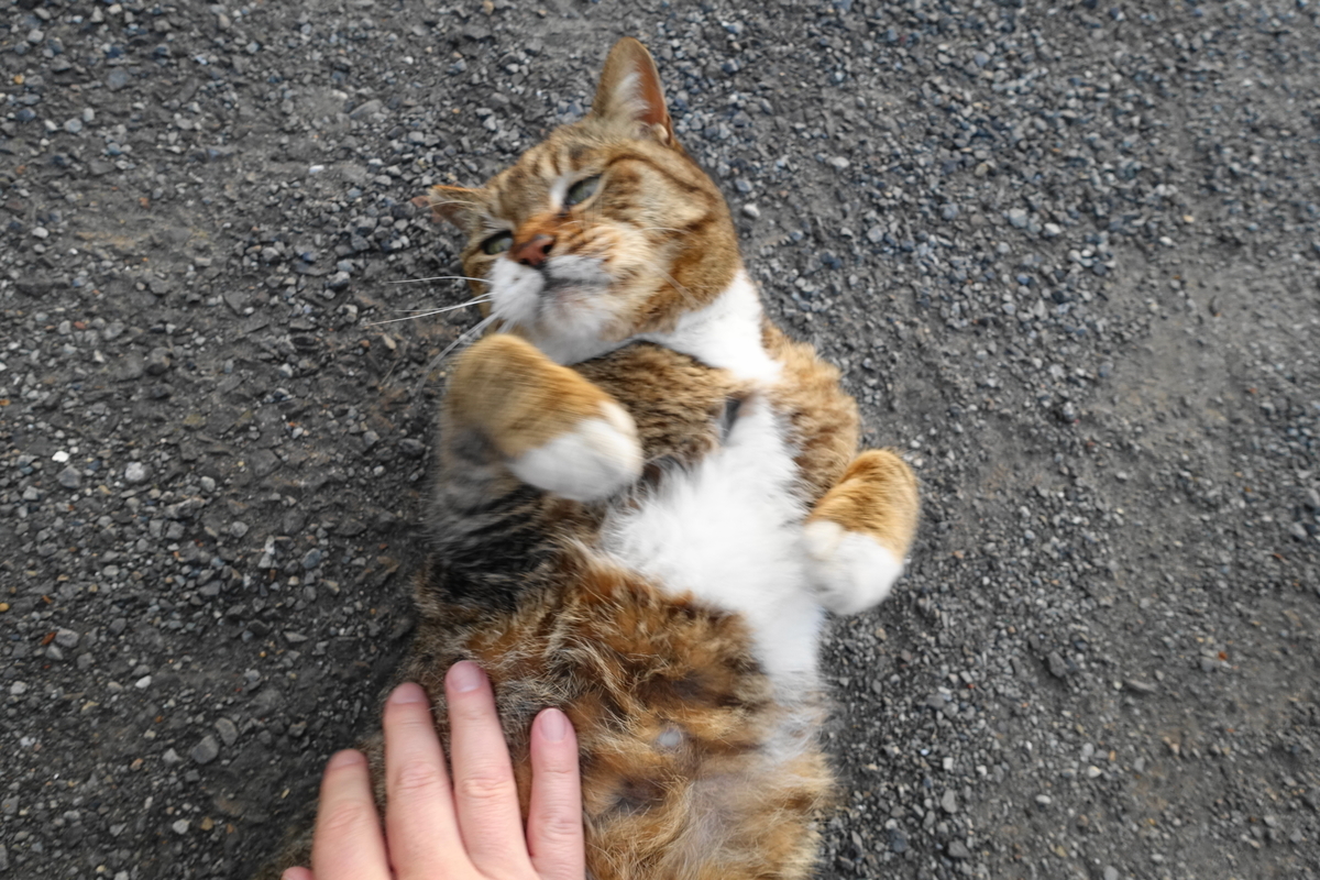 f:id:shigeo-t:20210331102831j:plain