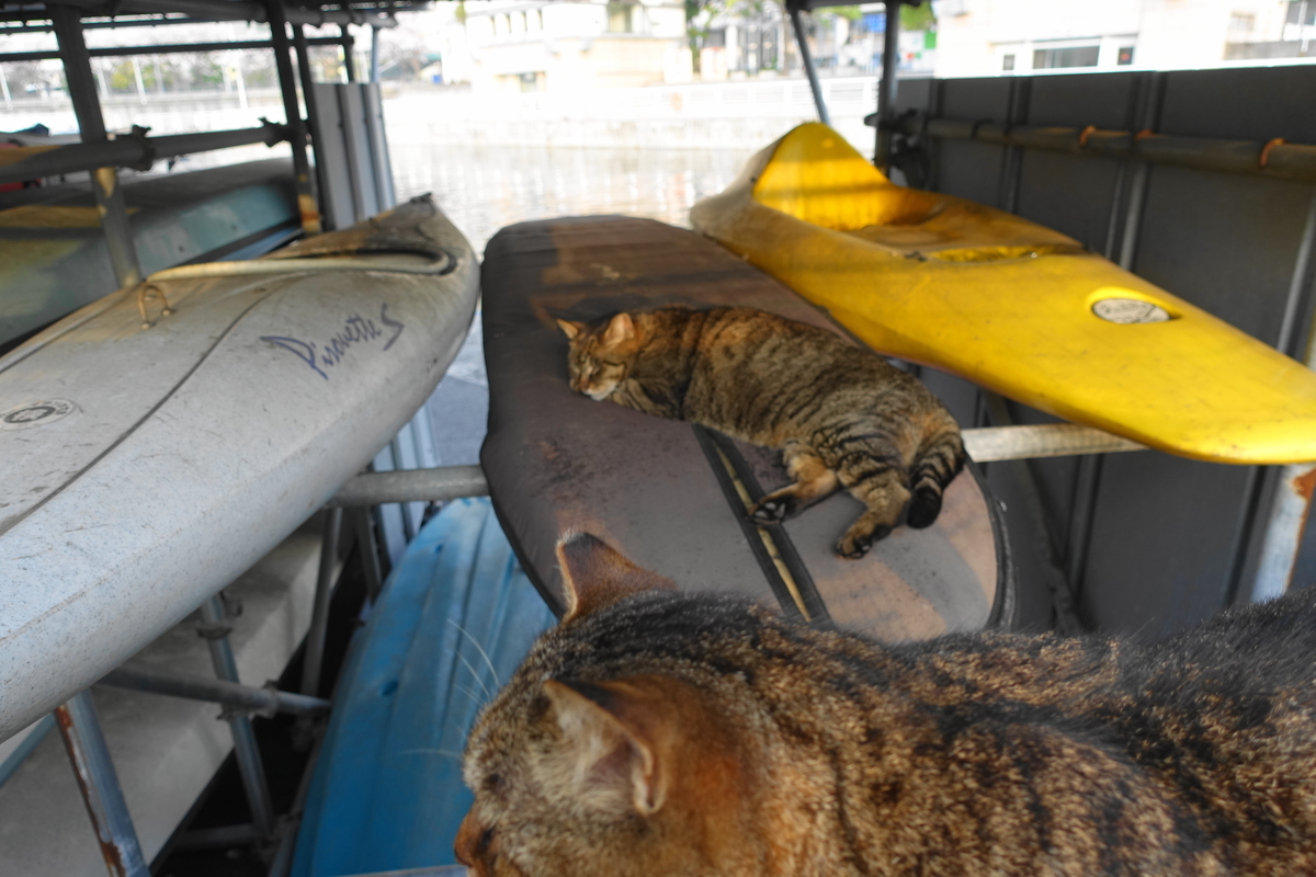 f:id:shigeo-t:20210331102948j:plain