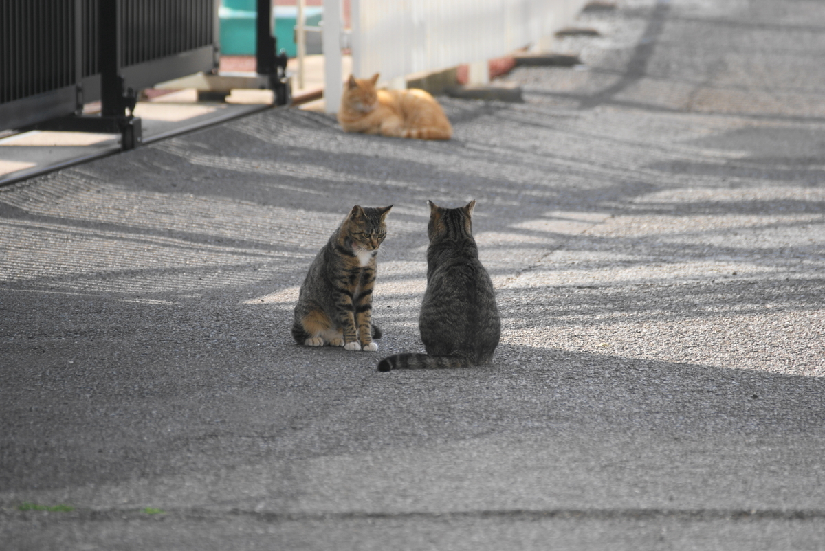 f:id:shigeo-t:20210331110825j:plain