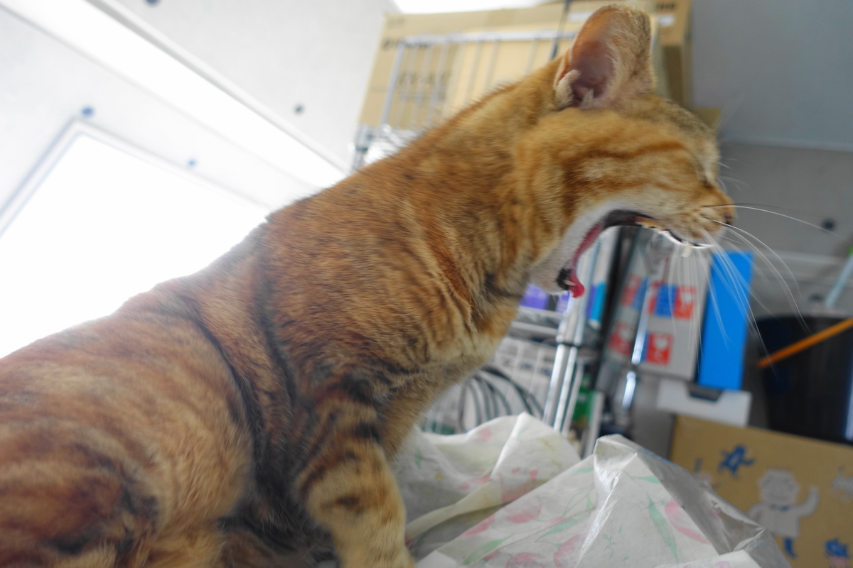 f:id:shigeo-t:20210406092119j:plain