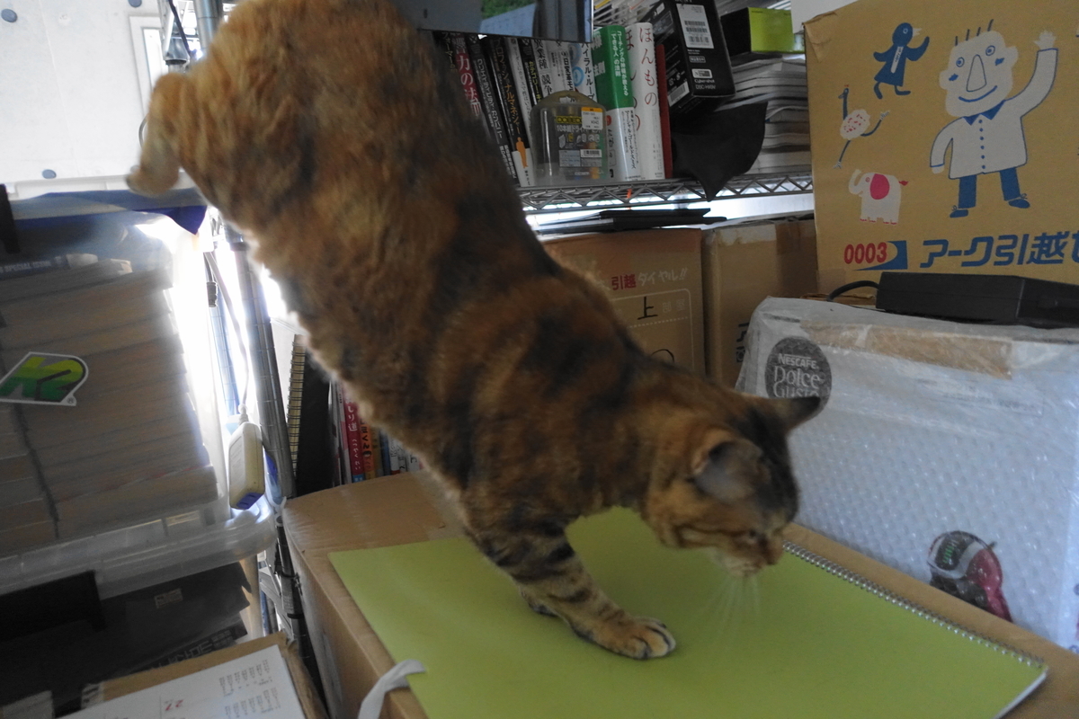 f:id:shigeo-t:20210406092530j:plain