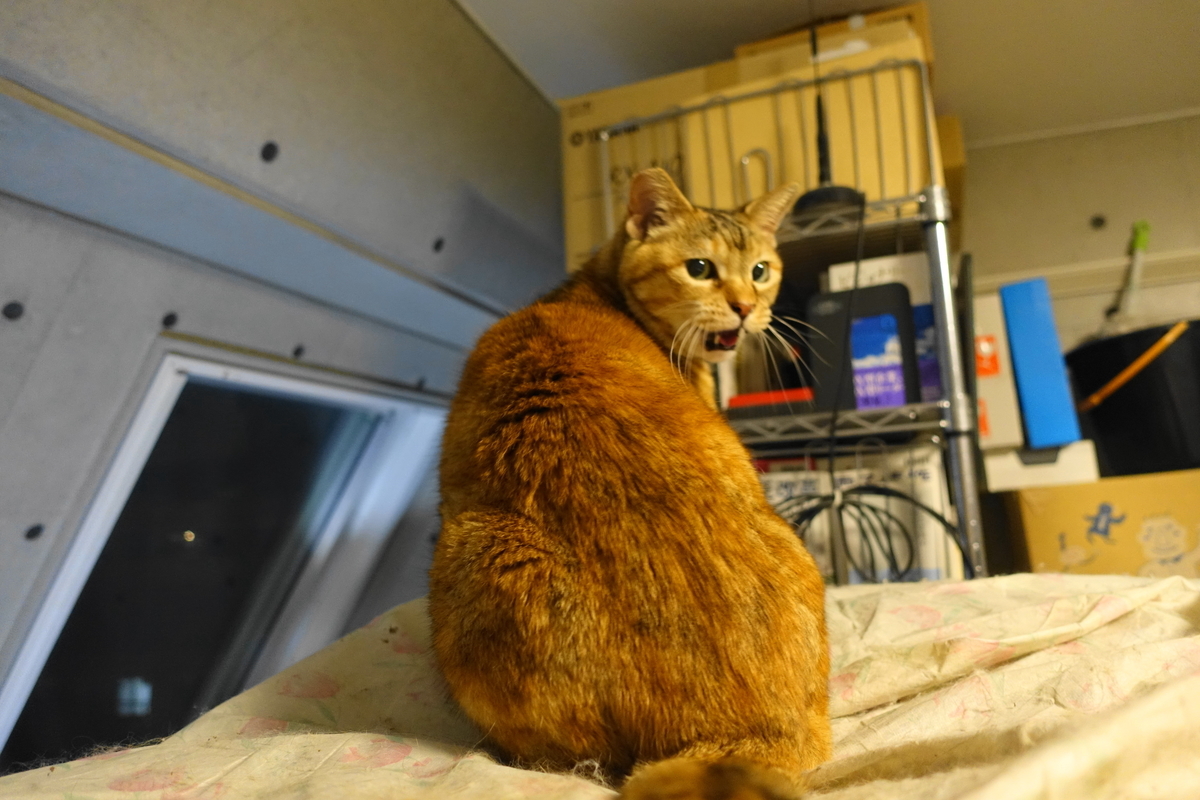 f:id:shigeo-t:20210406092623j:plain