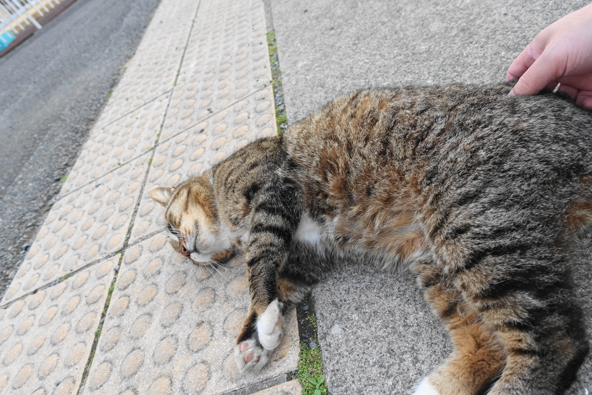 f:id:shigeo-t:20210409094409j:plain