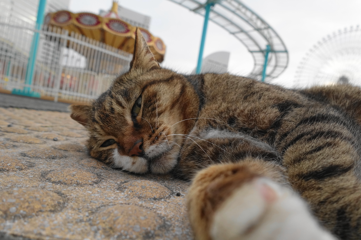 f:id:shigeo-t:20210409094550j:plain