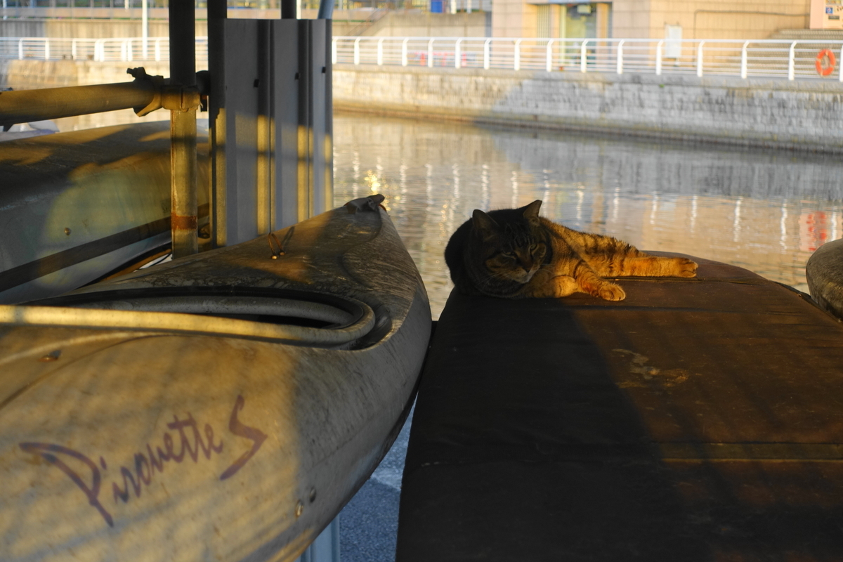 f:id:shigeo-t:20210409094913j:plain