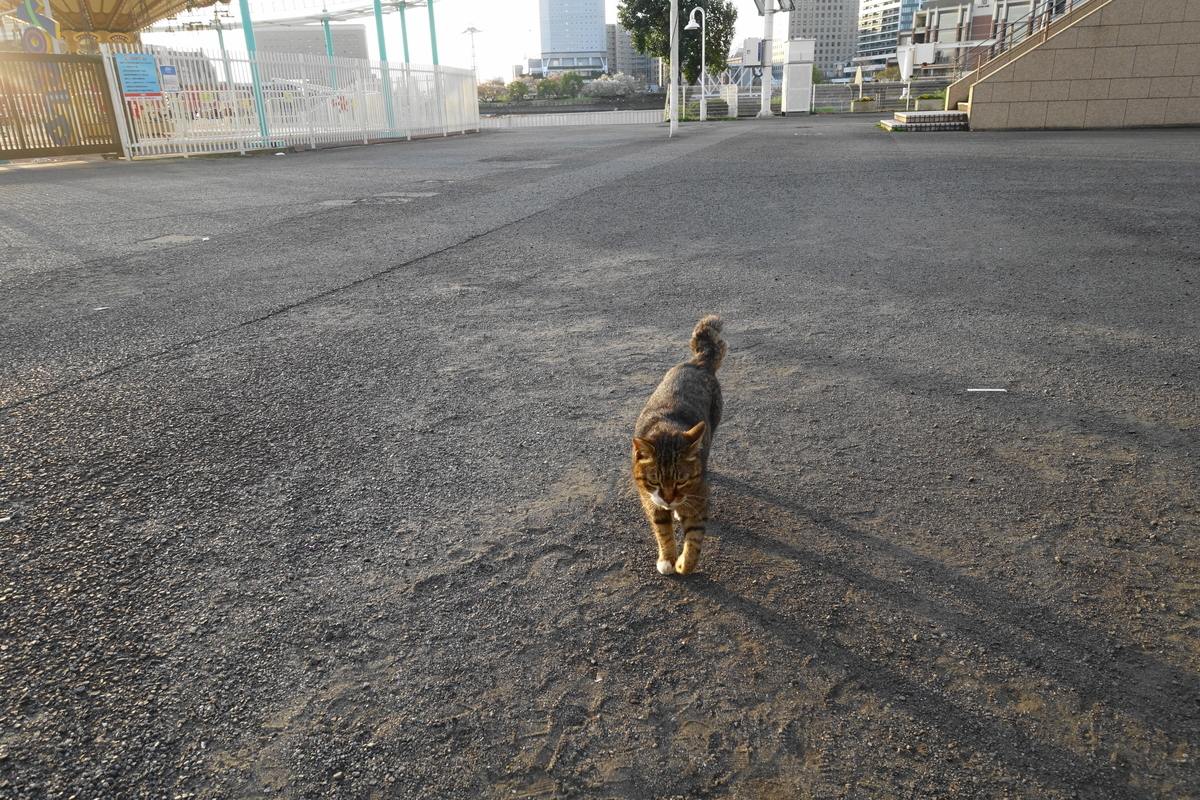 f:id:shigeo-t:20210409095741j:plain