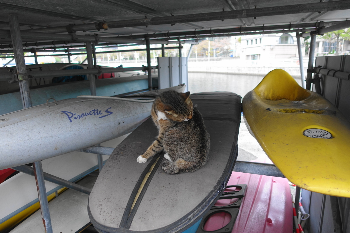 f:id:shigeo-t:20210409100923j:plain