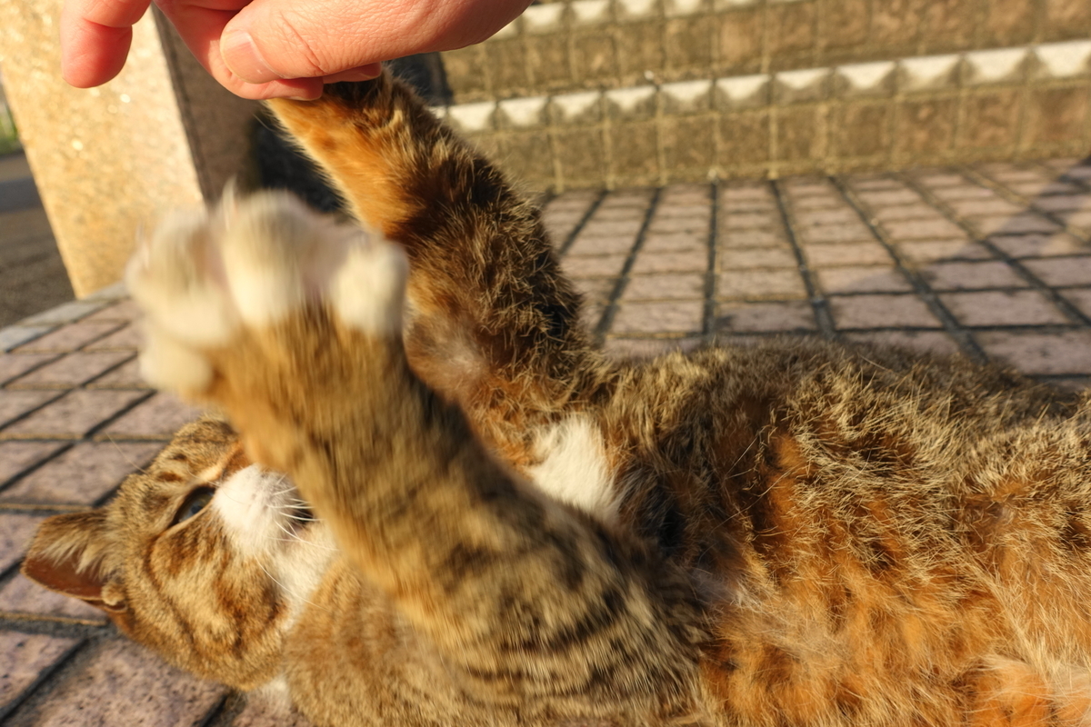 f:id:shigeo-t:20210411100849j:plain