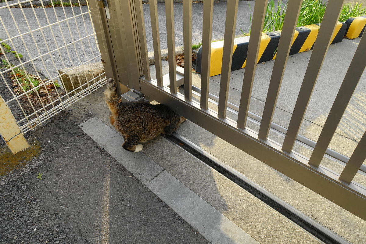 f:id:shigeo-t:20210411101016j:plain