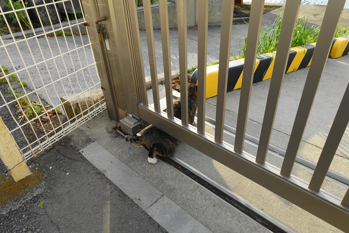 f:id:shigeo-t:20210411101019j:plain