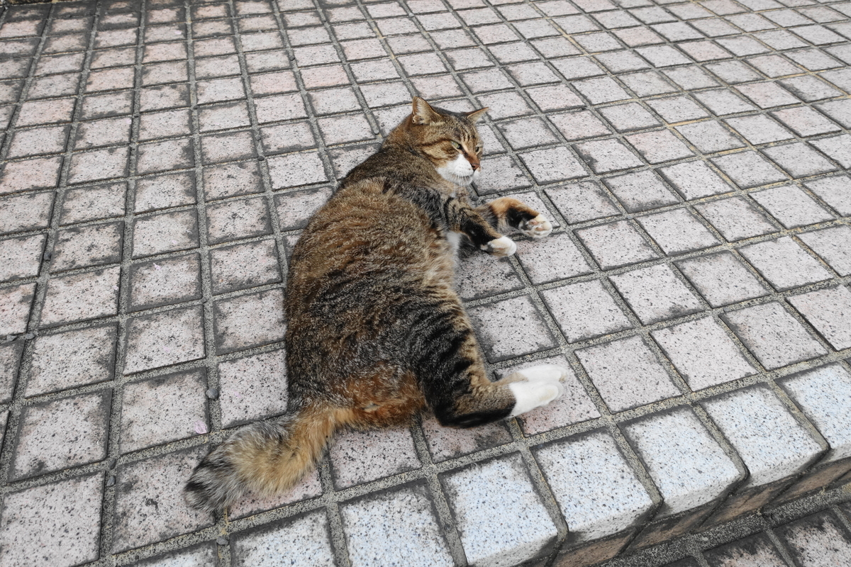 f:id:shigeo-t:20210411102020j:plain