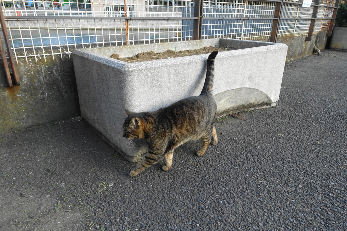 f:id:shigeo-t:20210429101005j:plain