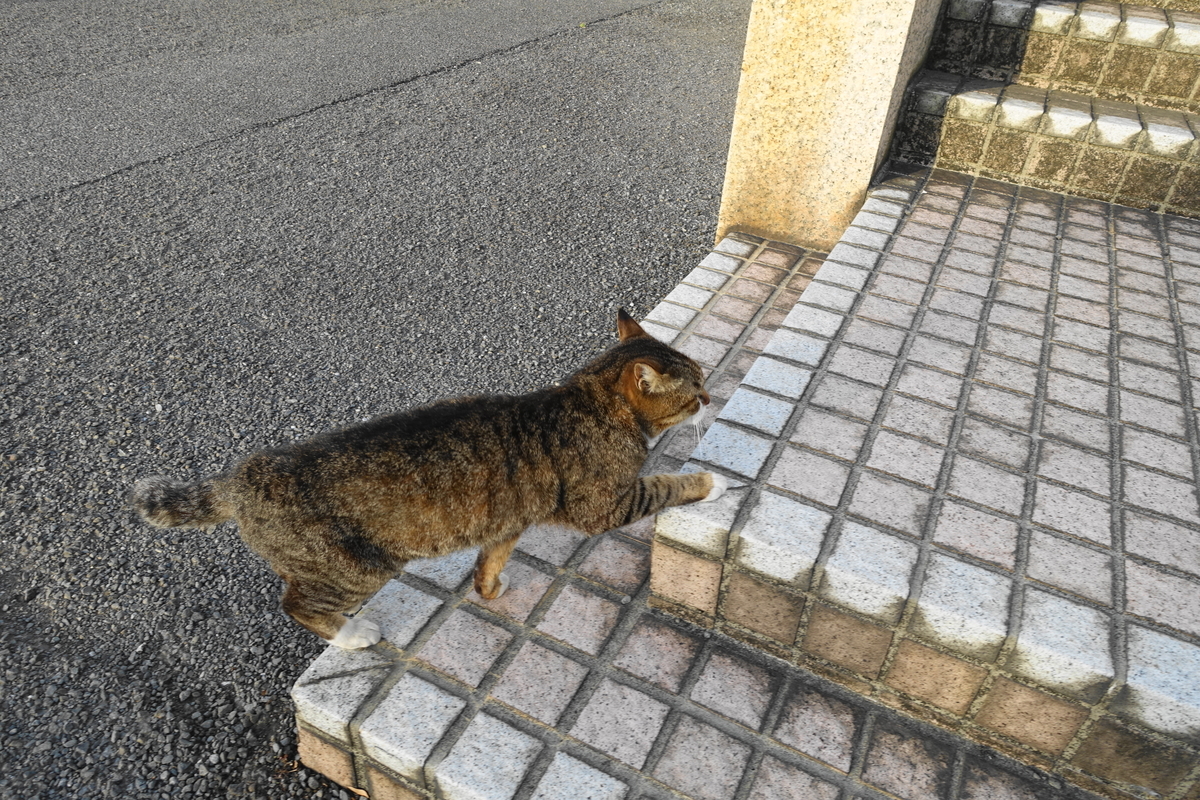 f:id:shigeo-t:20210501092717j:plain