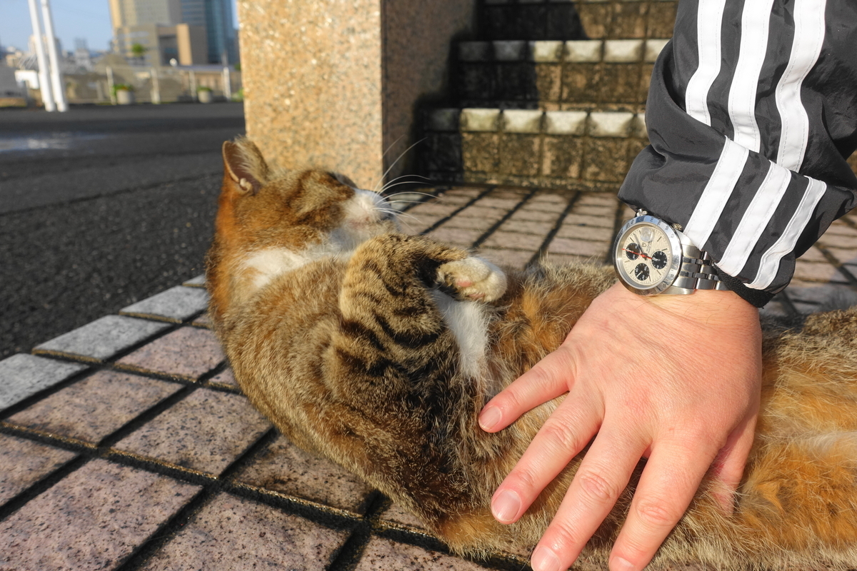 f:id:shigeo-t:20210501095110j:plain