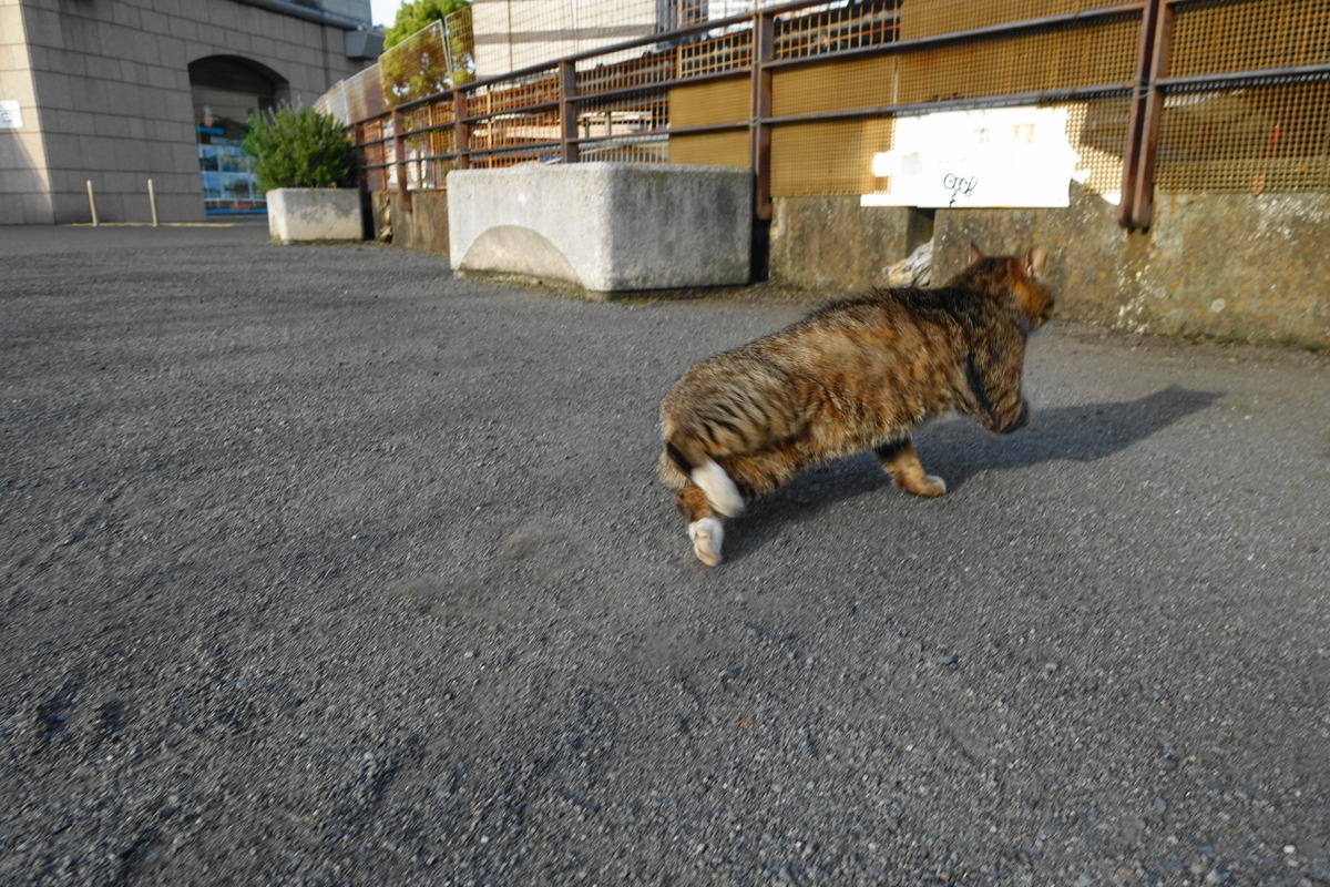 f:id:shigeo-t:20210507124711j:plain