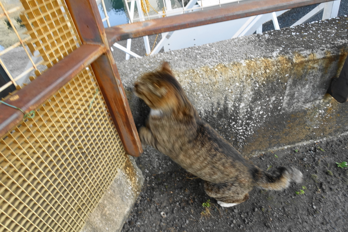 f:id:shigeo-t:20210510093918j:plain