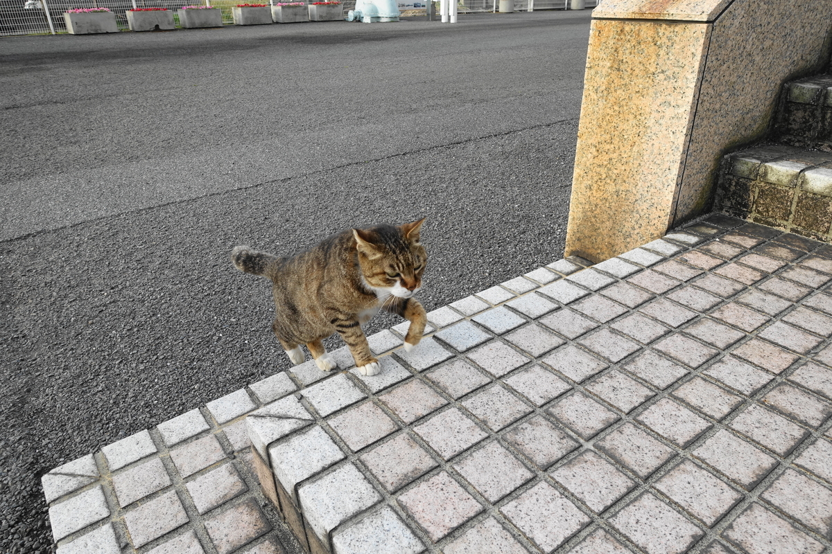 f:id:shigeo-t:20210510101247j:plain