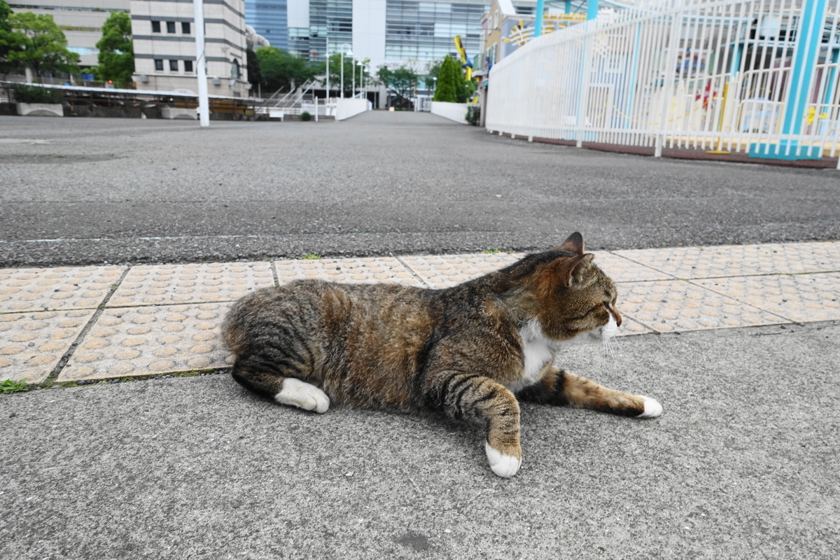 f:id:shigeo-t:20210511120230j:plain