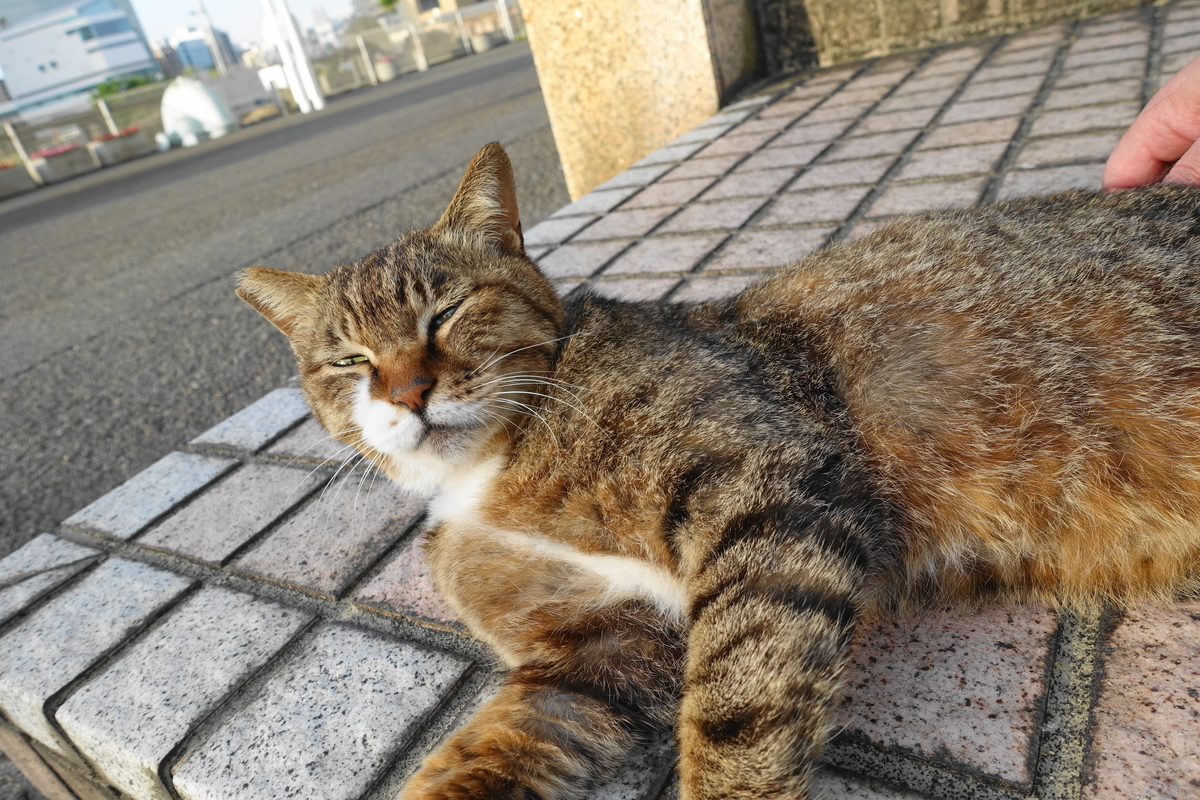 f:id:shigeo-t:20210511121036j:plain