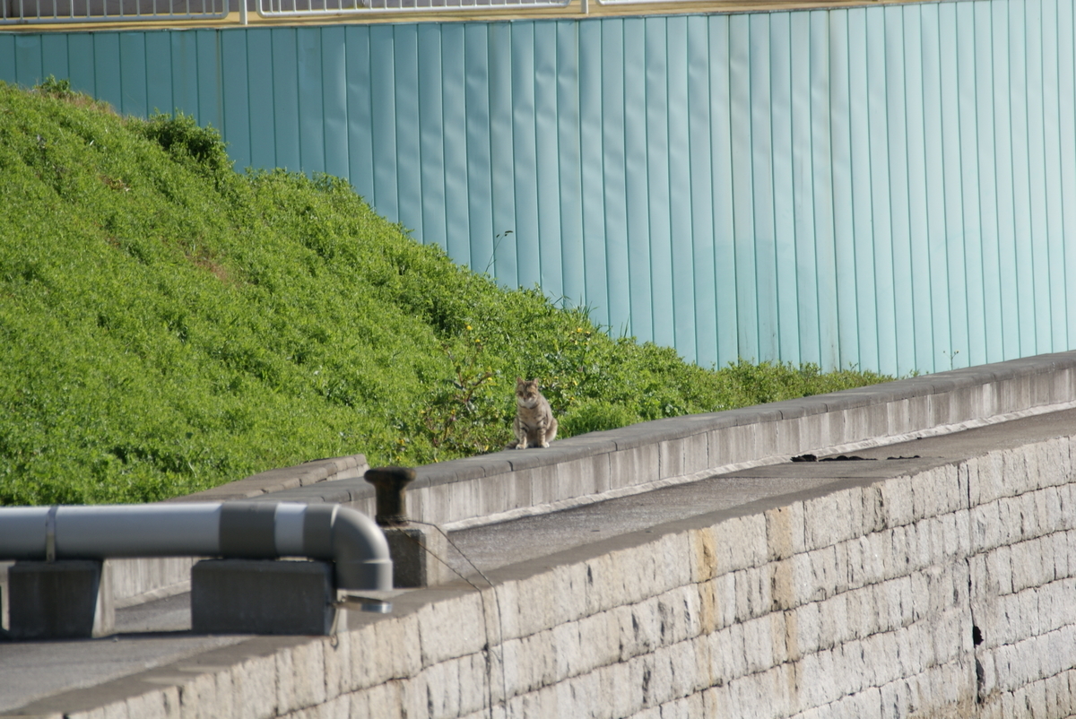 f:id:shigeo-t:20210514102410j:plain