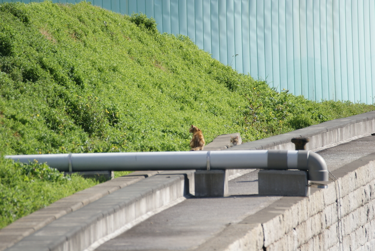f:id:shigeo-t:20210514102553j:plain