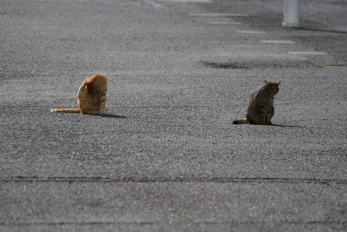 f:id:shigeo-t:20210514104210j:plain