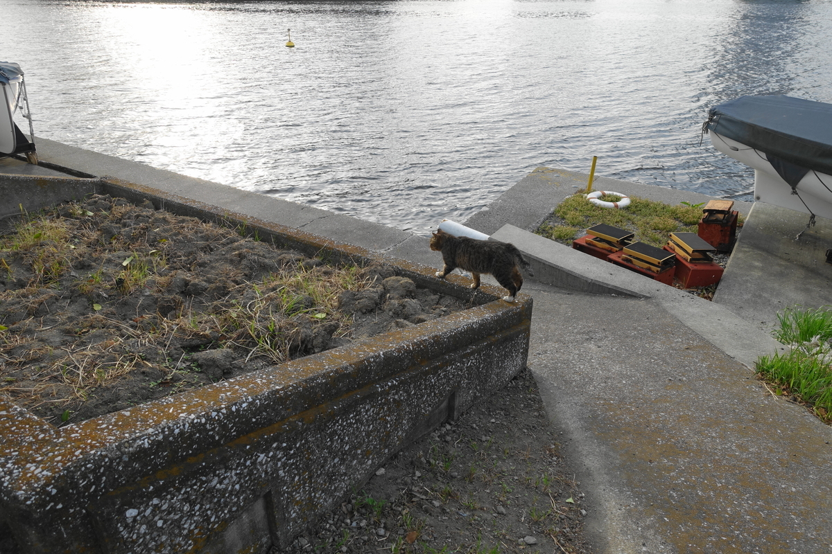 f:id:shigeo-t:20210516095308j:plain