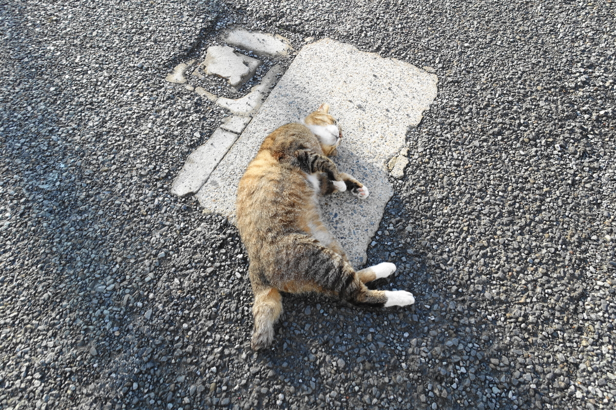 f:id:shigeo-t:20210516100515j:plain