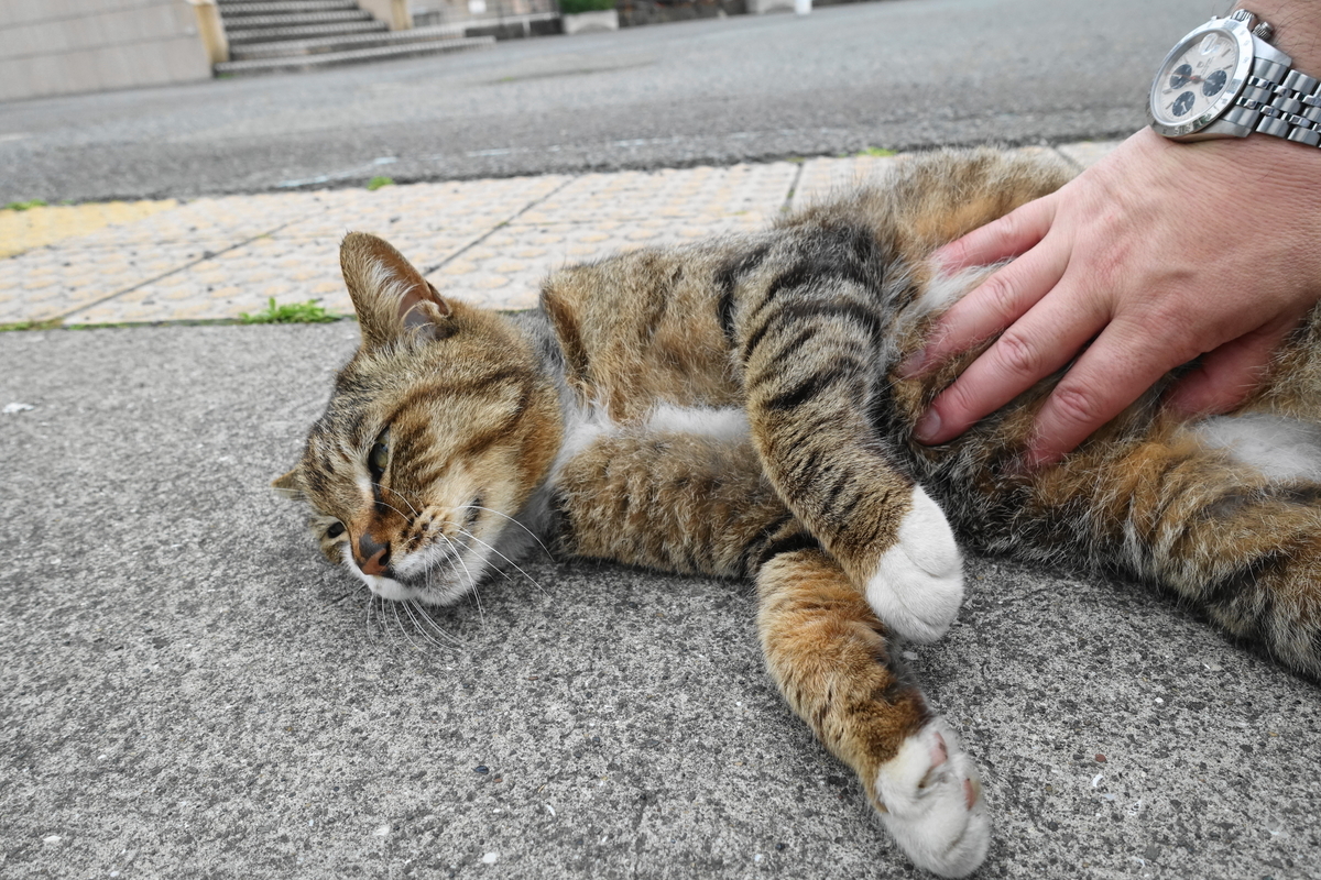 f:id:shigeo-t:20210516101157j:plain