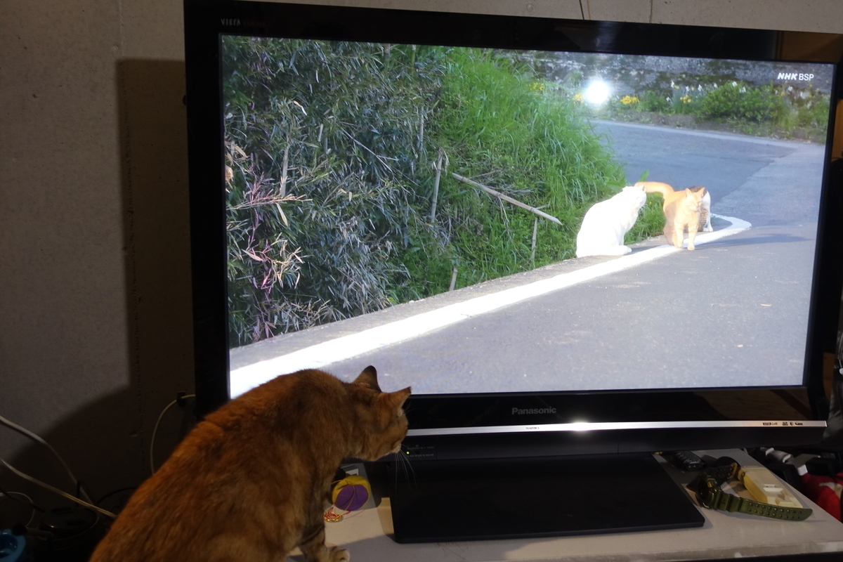 f:id:shigeo-t:20210518091713j:plain