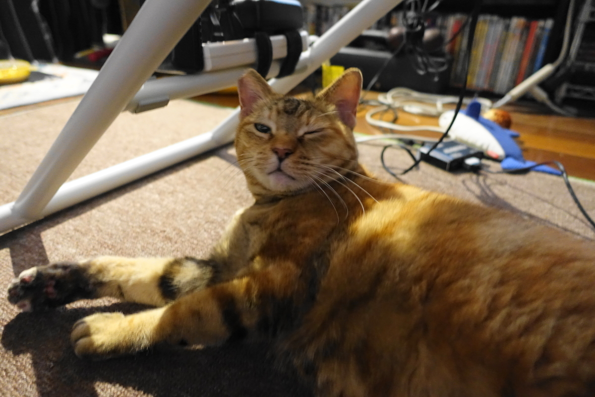 f:id:shigeo-t:20210518102639j:plain