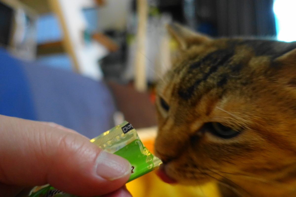 f:id:shigeo-t:20210520100317j:plain