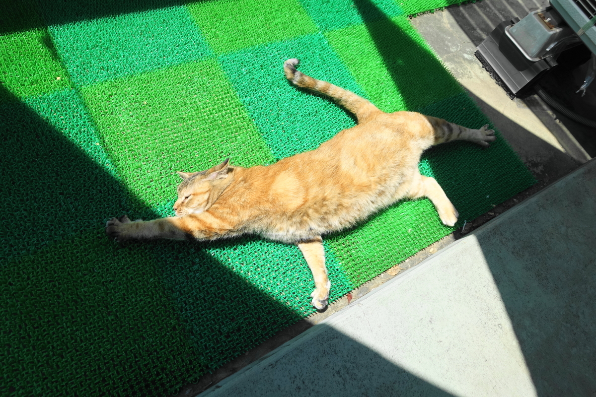 f:id:shigeo-t:20210520101247j:plain