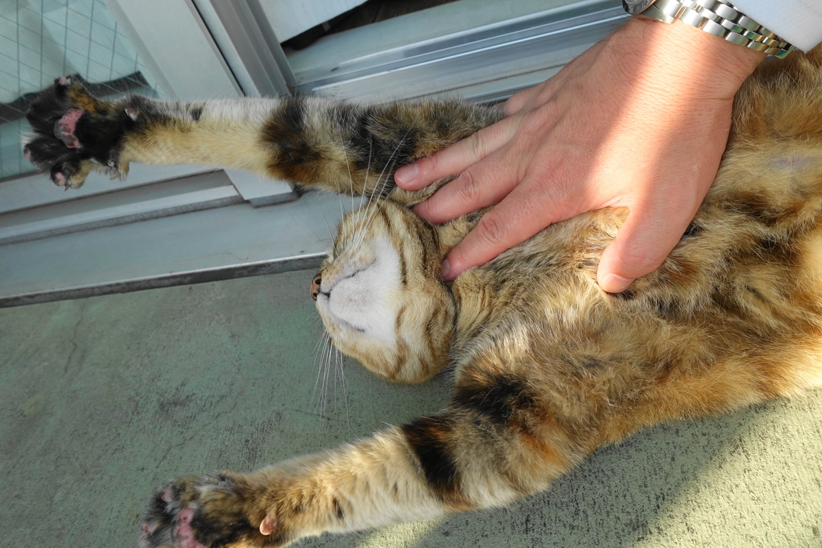 f:id:shigeo-t:20210520101648j:plain