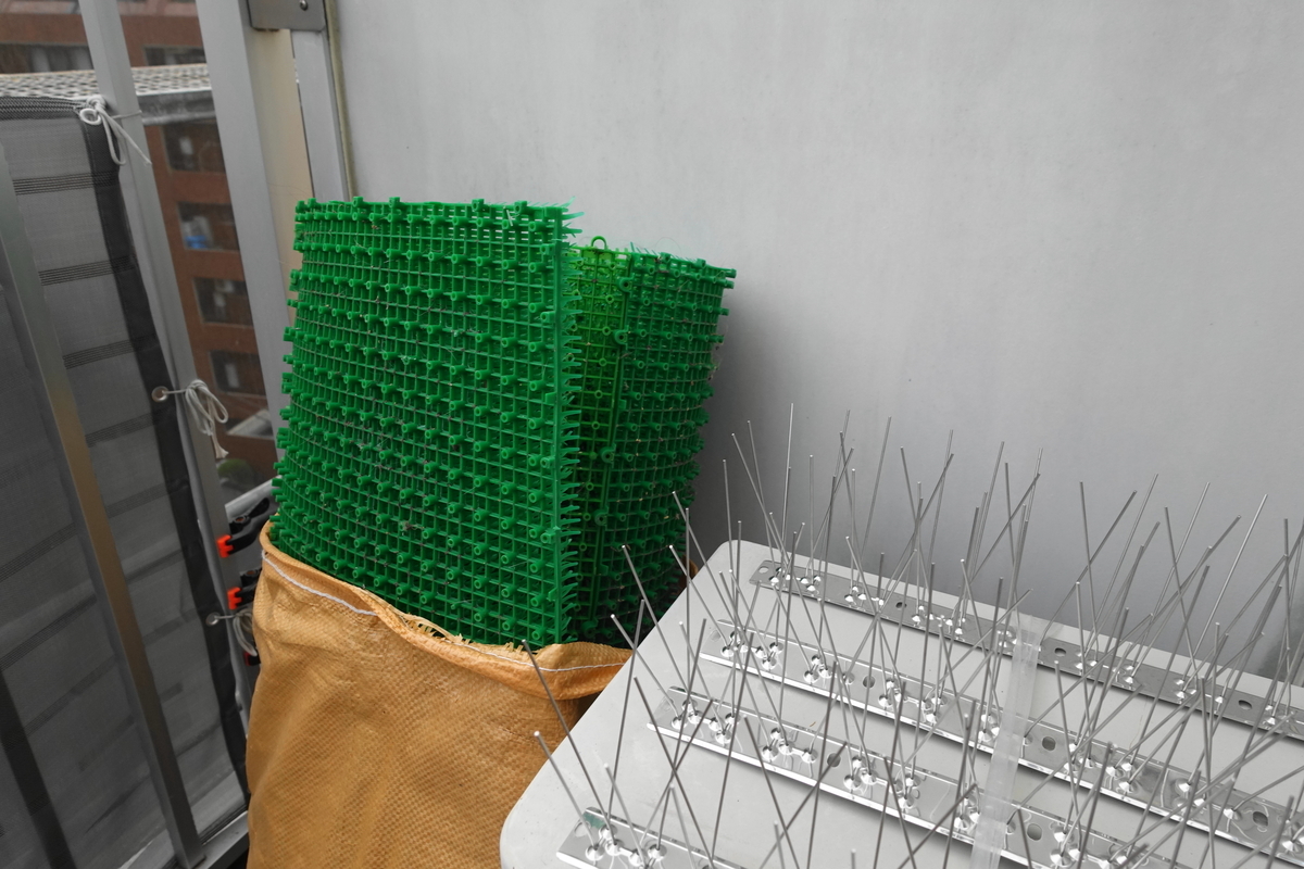 f:id:shigeo-t:20210520102202j:plain