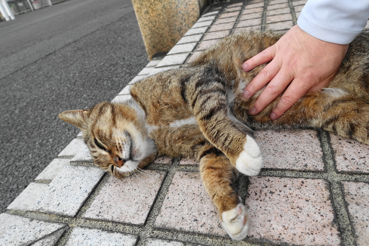 f:id:shigeo-t:20210522093249j:plain