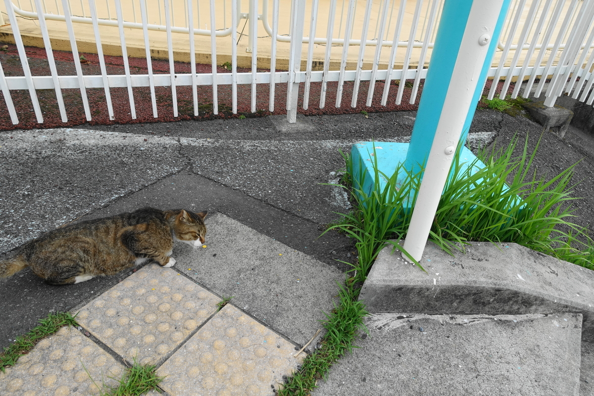 f:id:shigeo-t:20210522093331j:plain