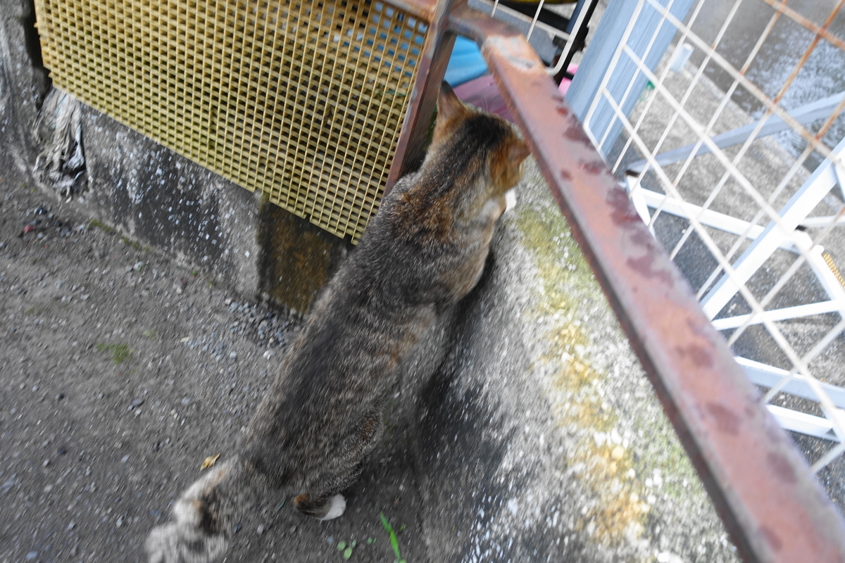 f:id:shigeo-t:20210528102857j:plain