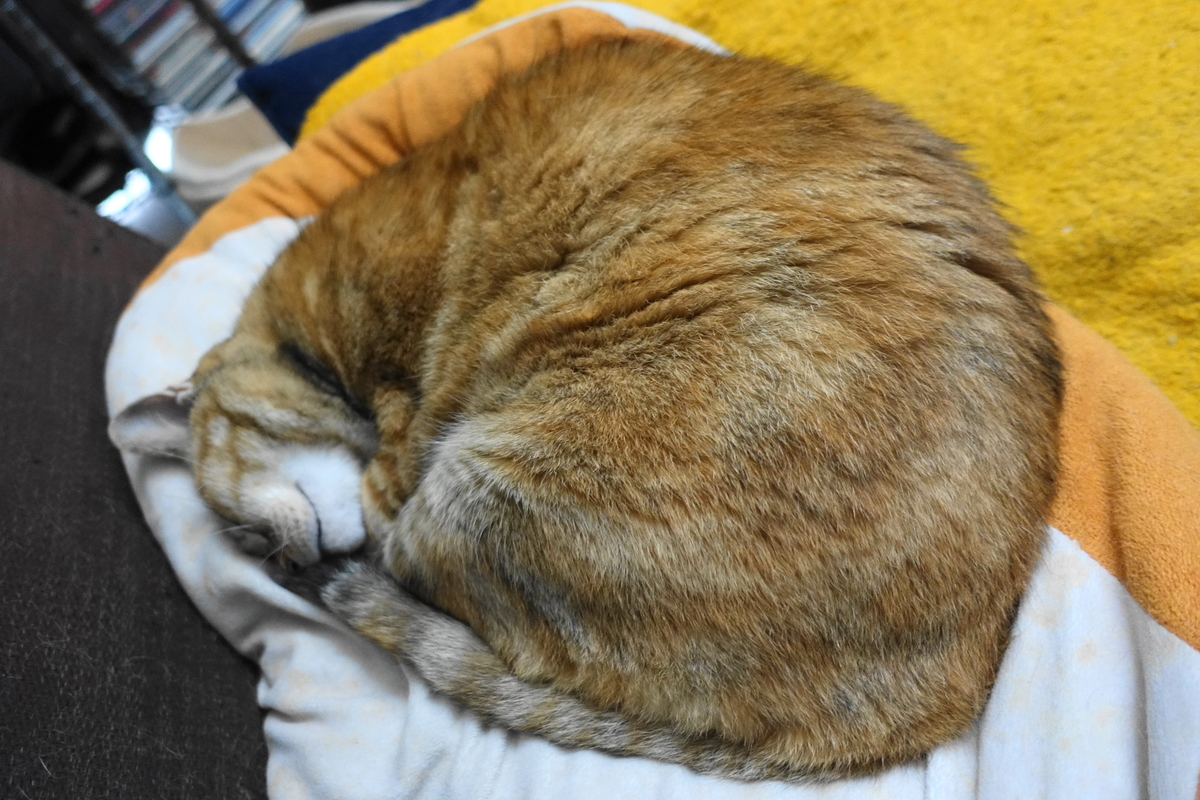 f:id:shigeo-t:20210603104403j:plain